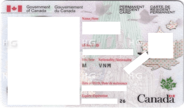 Thẻ thường trú nhân vĩnh viễn Canada của gia đình khách hàng Harvey Law Group