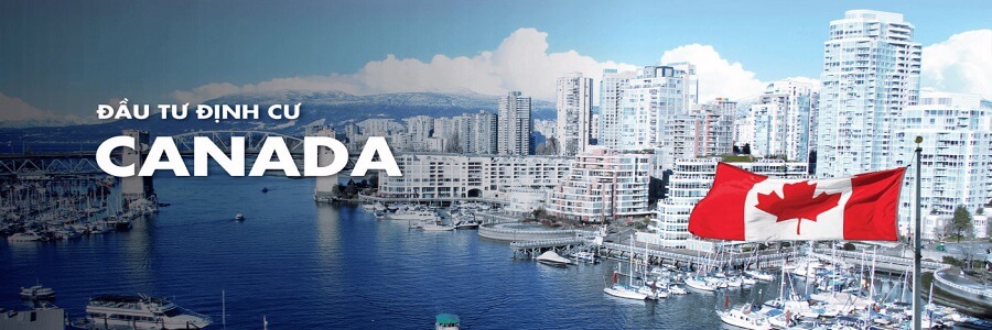 04 Lý do nên chọn công ty tư vấn dịch vụ Canada uy tín