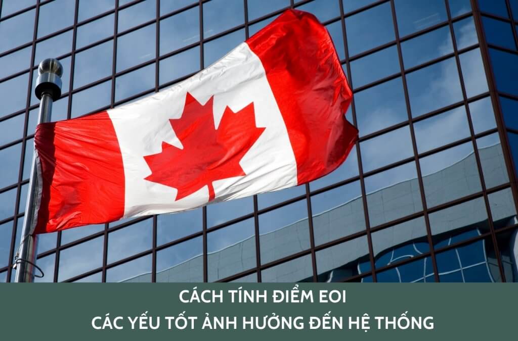 Cách tính điểm EOI? Các yếu tố ảnh hưởng đến hệ thống bày tỏ nguyện vọng