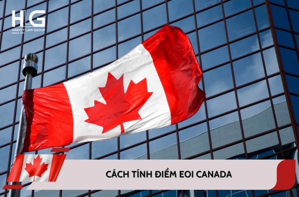 Cách tính điểm EOI? Các yếu tố ảnh hưởng đến hệ thống bày tỏ nguyện vọng