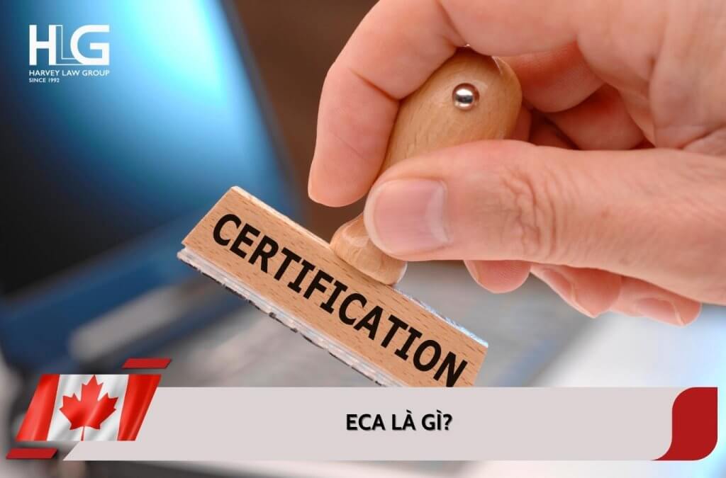Đánh giá chứng chỉ giáo dục ECA là gì? Ai cần và cách lấy nhanh nhất