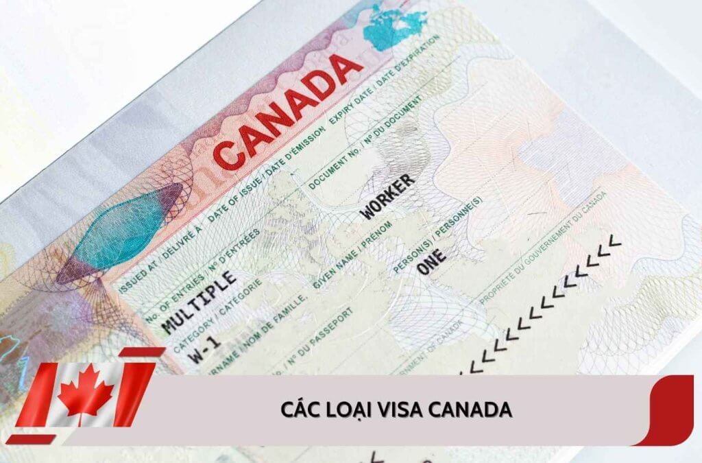 Tổng hợp các loại Visa Canada: Điều kiện và chi phí chi tiết