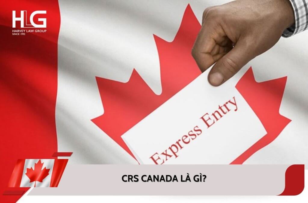 CRS Canada là gì? Hướng dẫn cách tính điểm Express Entry chuẩn xác