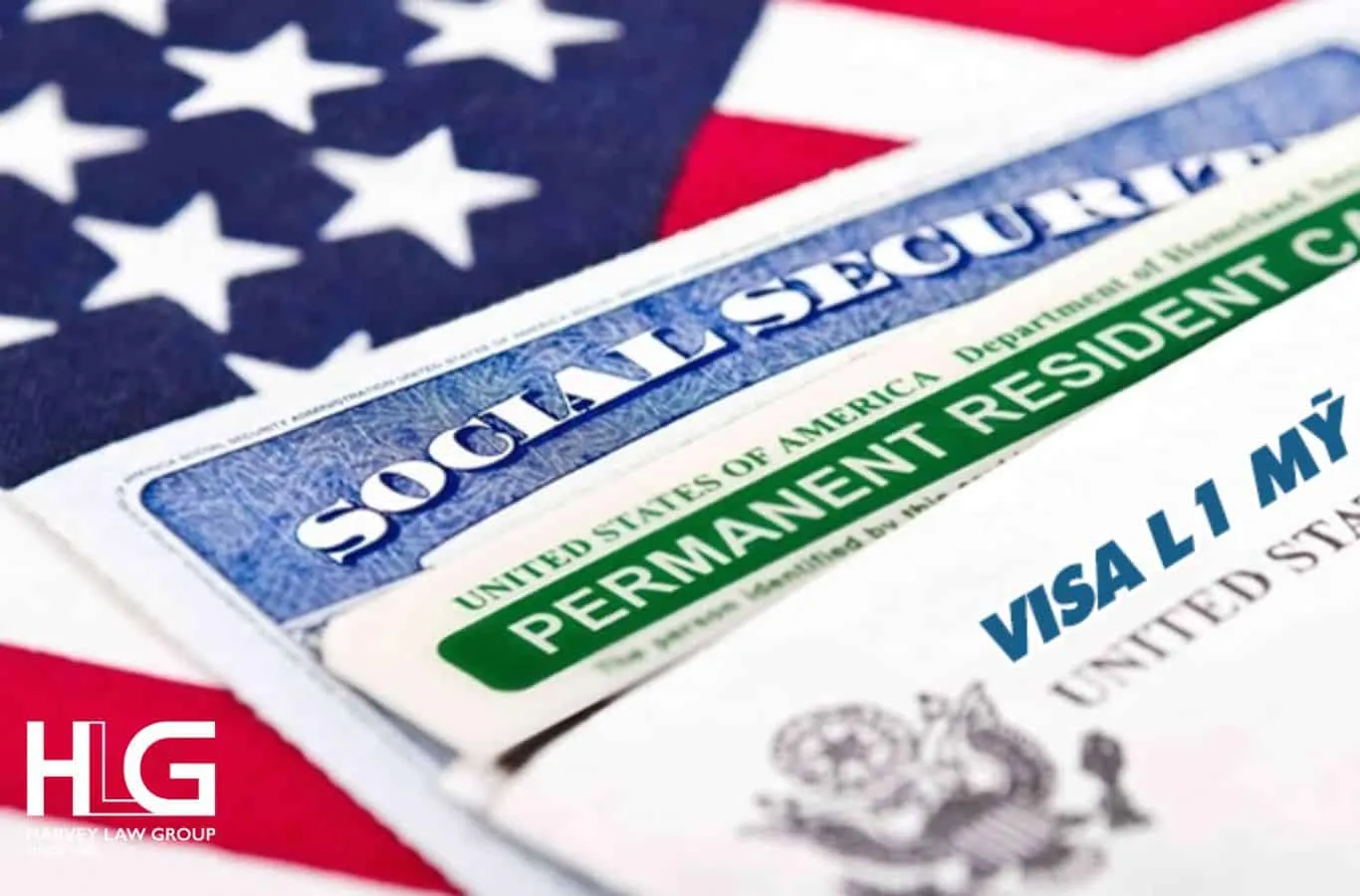 visa L-1