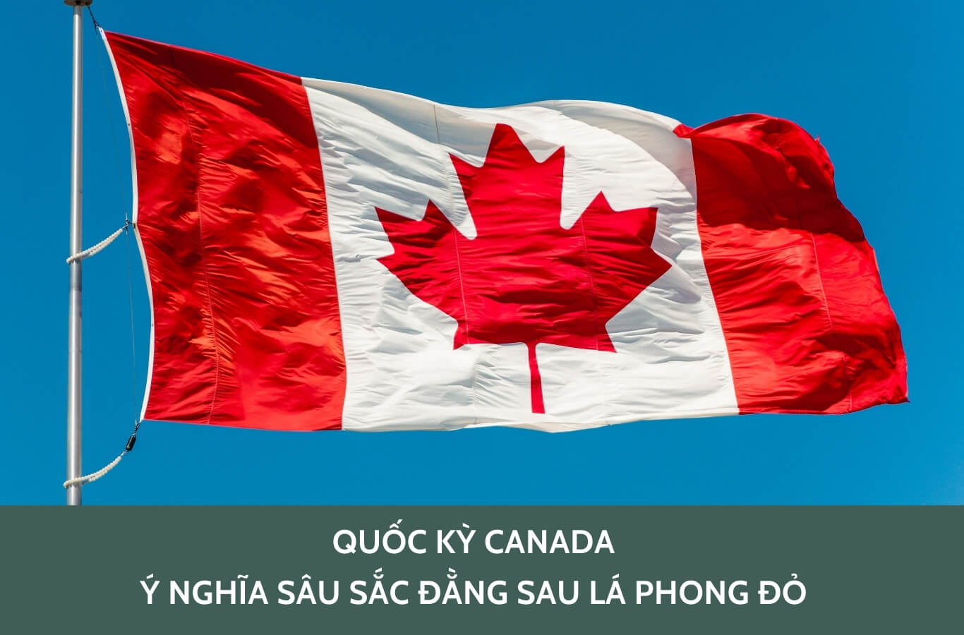 Quốc kỳ Canada: Ý nghĩa sâu sắc đằng sau lá phong đỏ