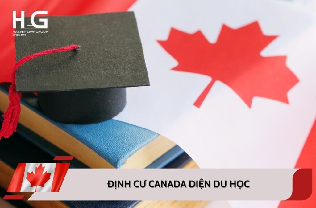 Tổng hợp chính sách định cư Canada diện du học mới nhất 2025