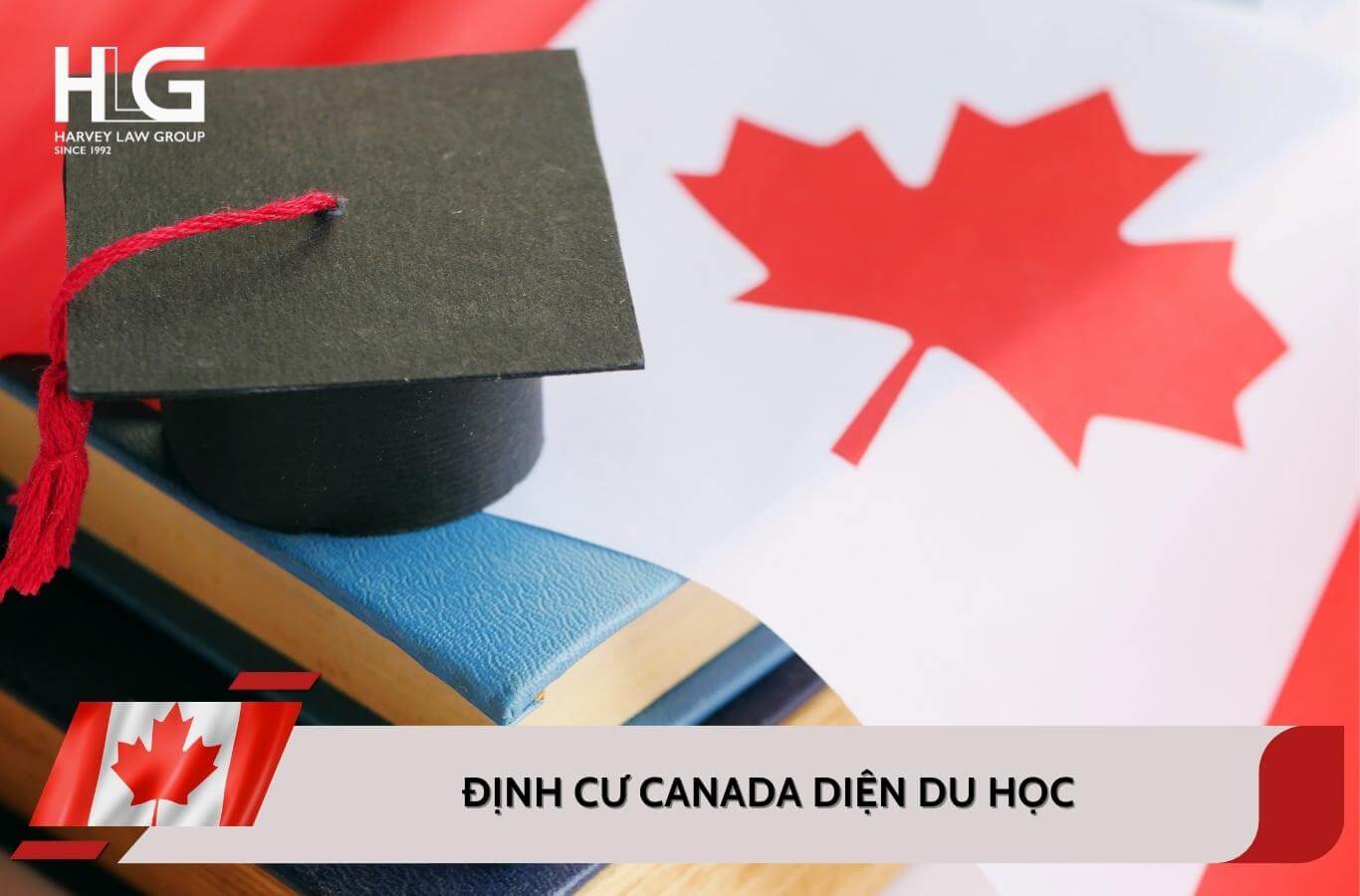 Tổng hợp chính sách định cư Canada diện du học mới nhất 2025