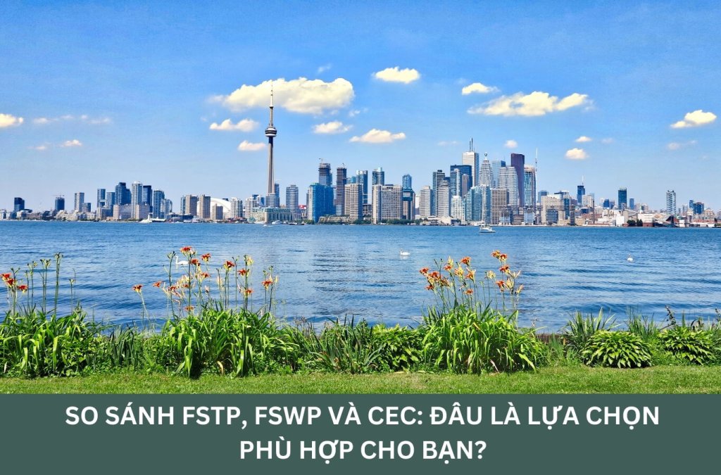 So sánh FSTP, FSWP và CEC: Đâu là lựa chọn phù hợp cho bạn?