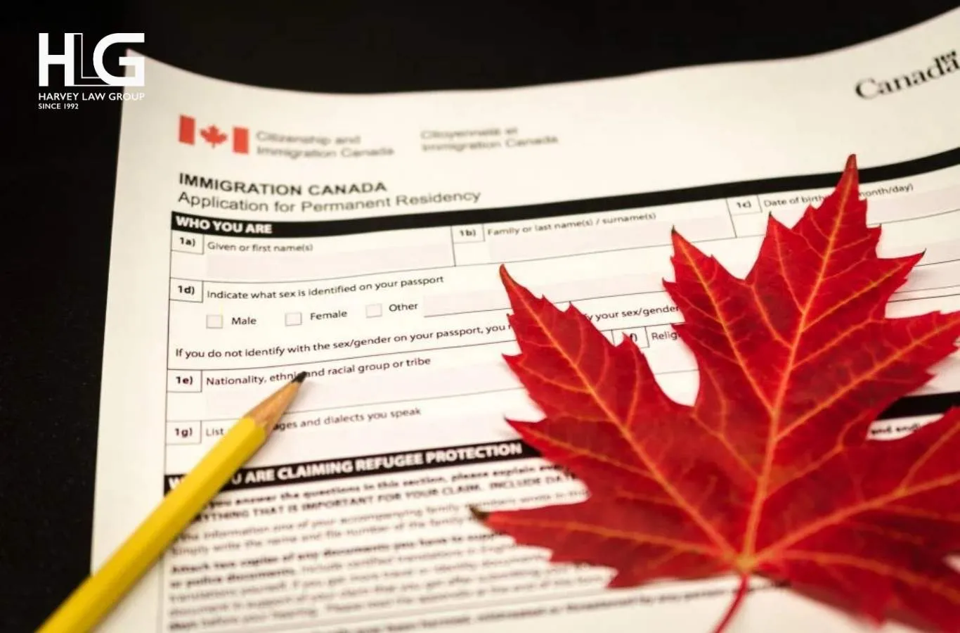 Letter of Support ảnh hưởng trực tiếp đến hồ sơ định cư Canada
