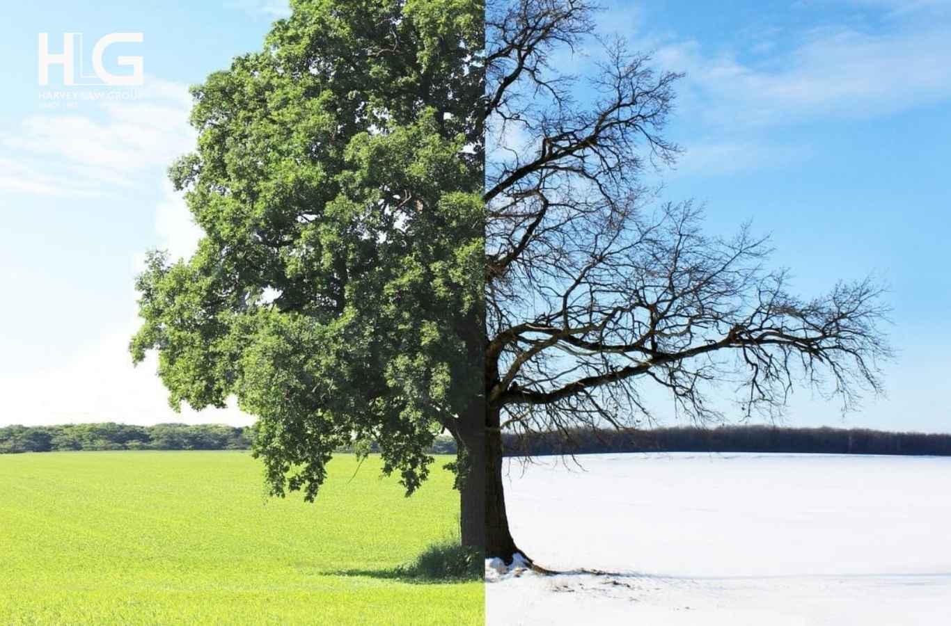 Khí hậu Úc ấm áp hơn Canada quanh năm