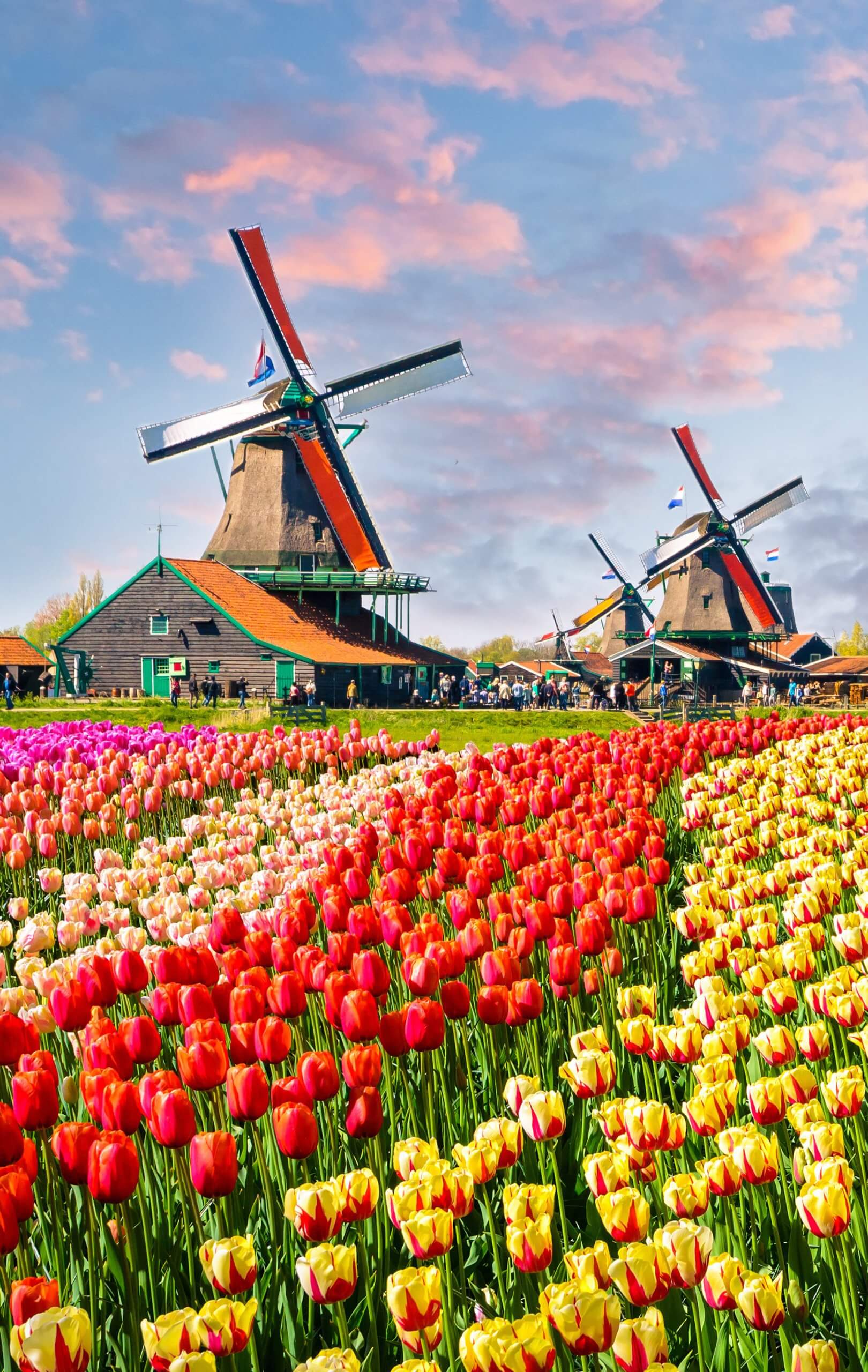 Định cư Hà Lan – Startup Visa