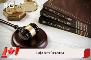 Luật di trú Canada là gì? Kế hoạch nhập cư Canada giai đoạn 2026-2028