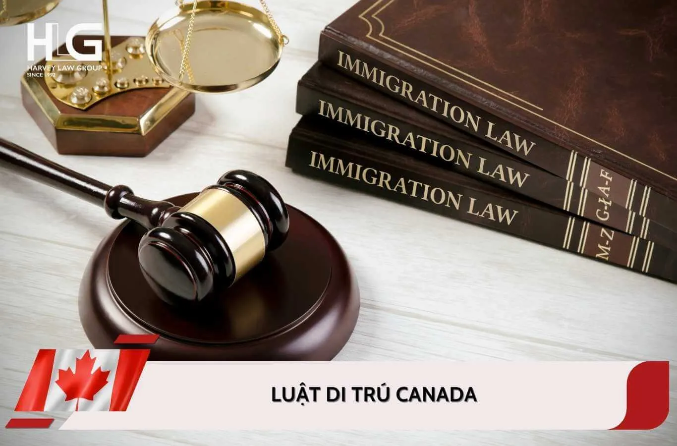 Luật di trú Canada là gì? Kế hoạch nhập cư Canada giai đoạn 2026-2028