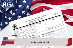 đơn i864 là gì